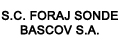 Foraj Sonde Bascov